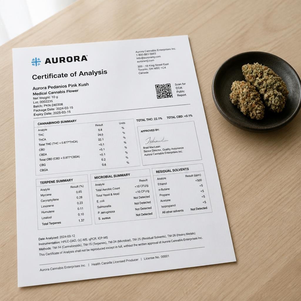 Aurora Pedanios Pink Kush 3 Aurora Pedanios Pink Kush