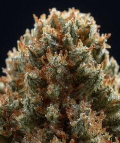 buy Vida Super Lemon Haze online