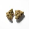 Curaleaf Gorilla Glue #4 GG4 1 Curaleaf Gorilla Glue #4 GG4