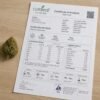Curaleaf Gorilla Glue #4 GG4 2 Curaleaf Gorilla Glue #4 GG4