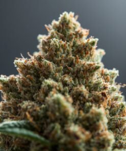 Curaleaf LA Kush Cake