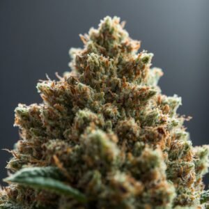 Curaleaf LA Kush Cake