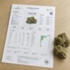Curaleaf LA Kush Cake 2 Curaleaf LA Kush Cake
