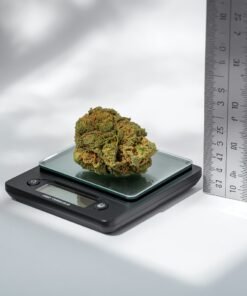 Kanabo No. 5 medical cannabis flower