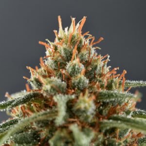 Peace Naturals Atomic Sour Grapefruit